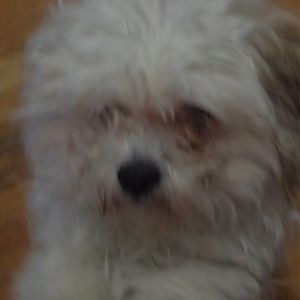 Meet your Posher, Marcia